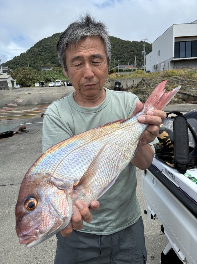 マダイ