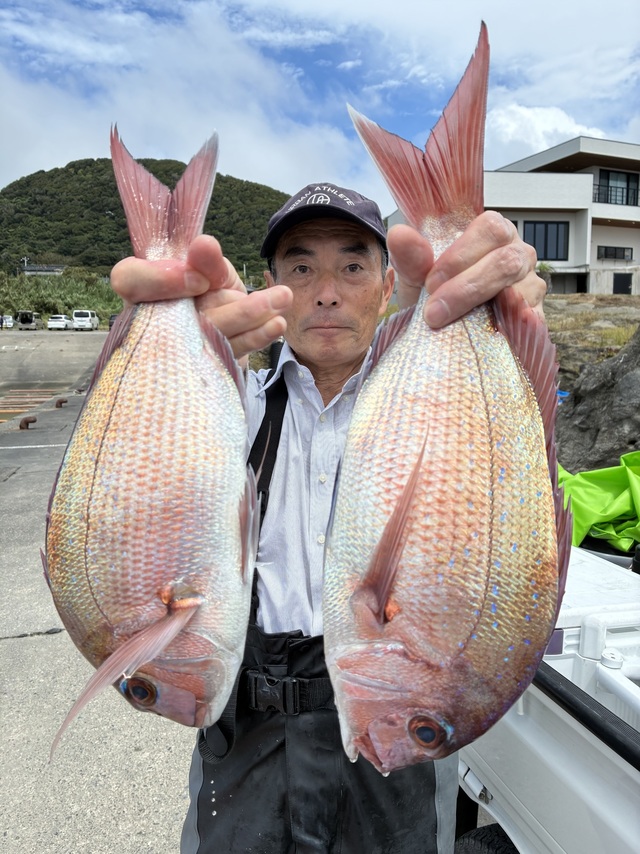 マダイ