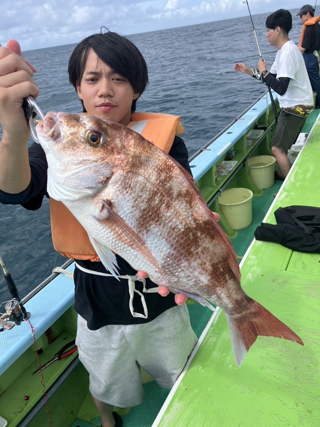 マダイ