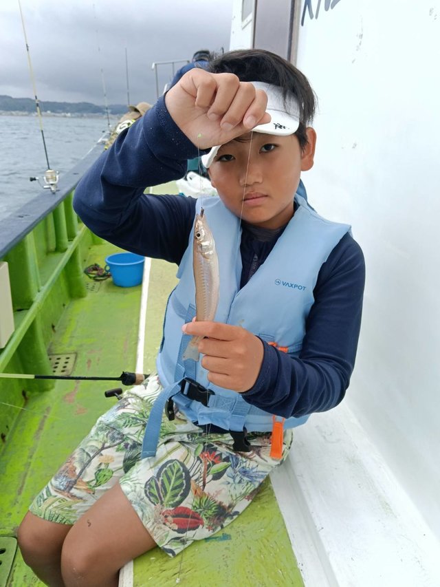 シロギス