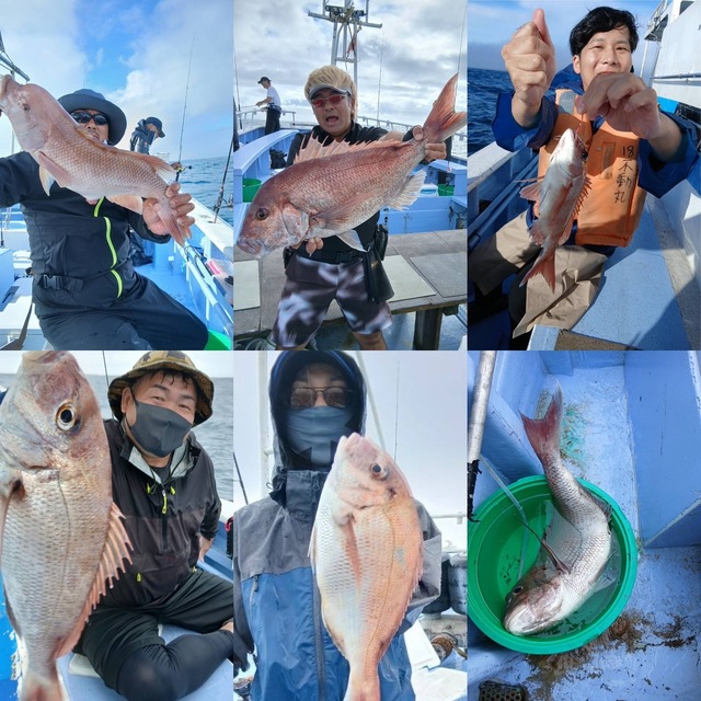 マダイ