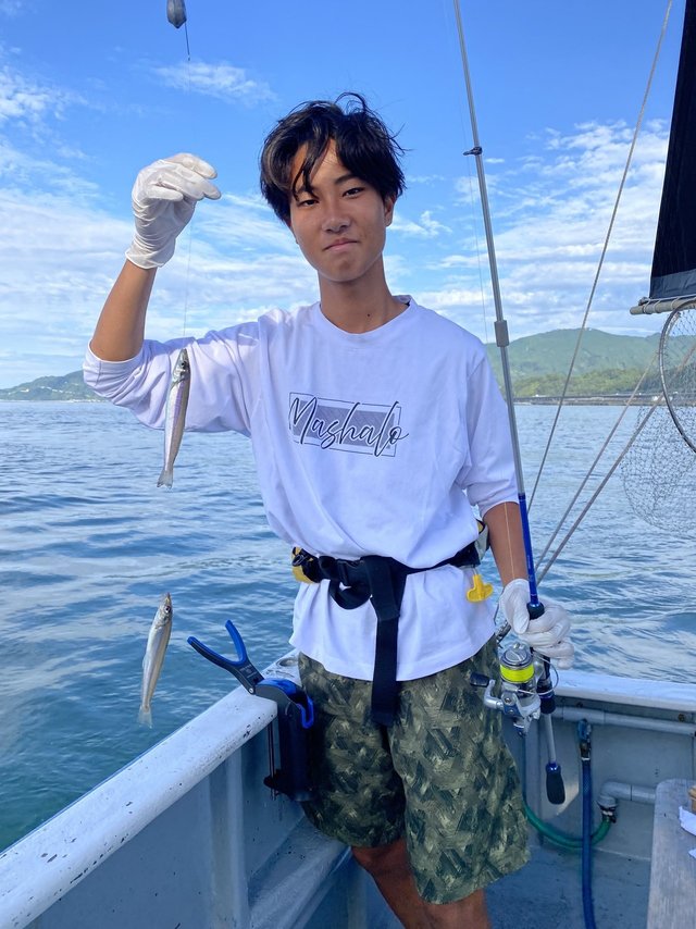 シロギス