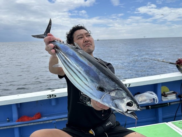 カツオ