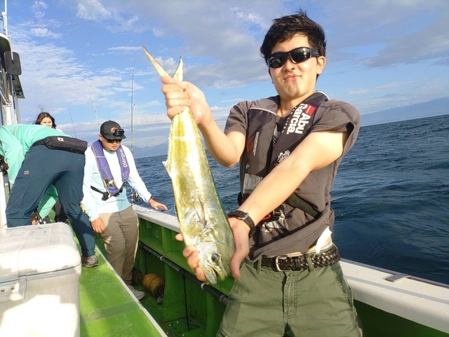 シイラ