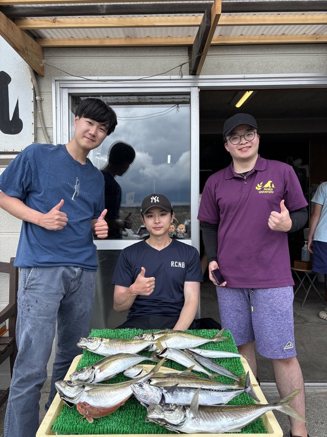 アジ(マアジ)・カマス(アカカマス)