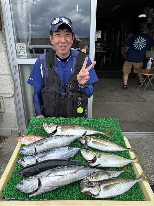 アジ(マアジ)