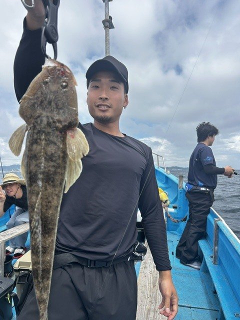 マゴチ