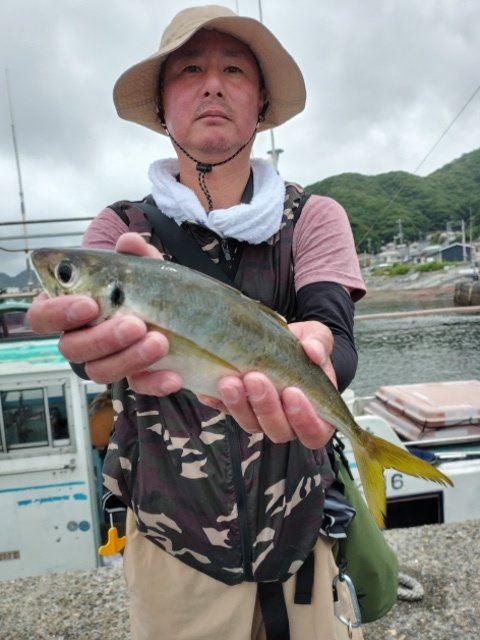 アジ(マアジ)