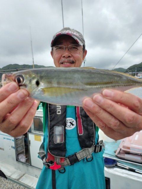 アジ(マアジ)
