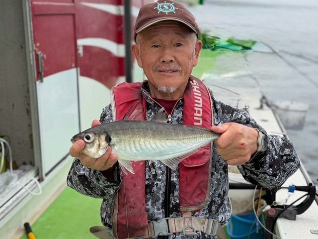 アジ(マアジ)