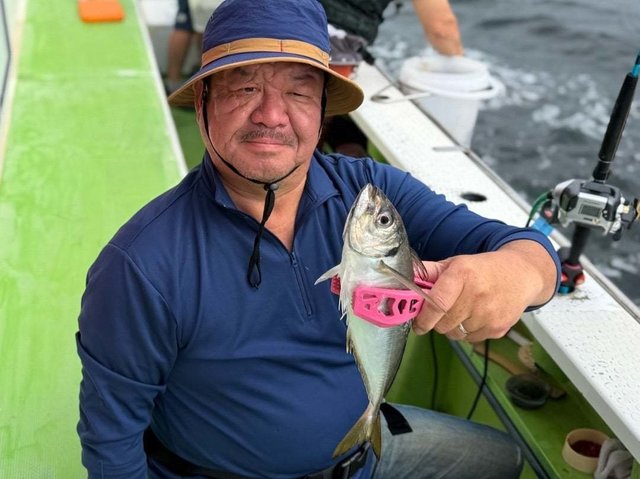 アジ(マアジ)