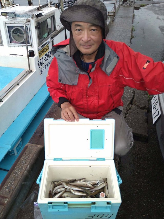 シロギス