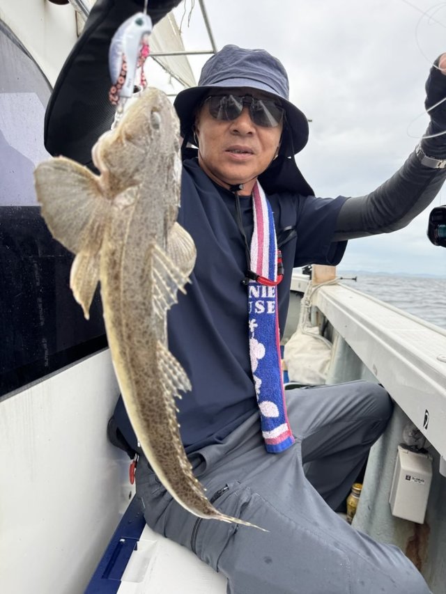 マゴチ