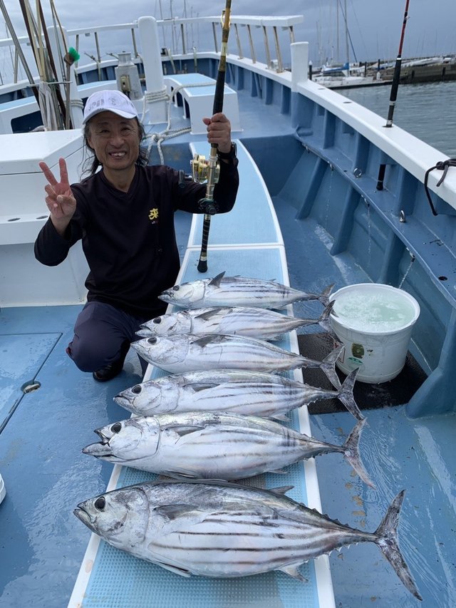 カツオ