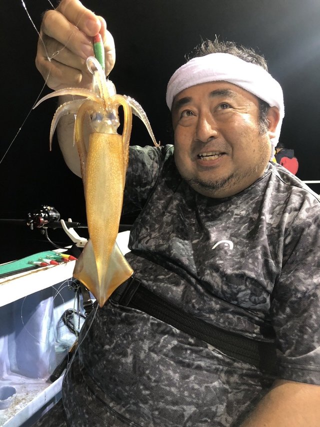 ムギイカ(スルメイカ)