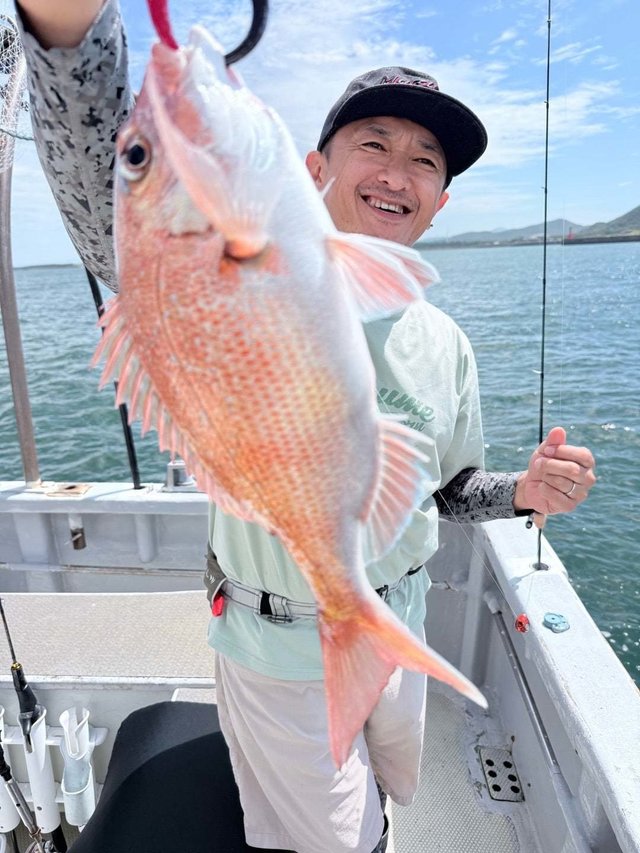マダイ