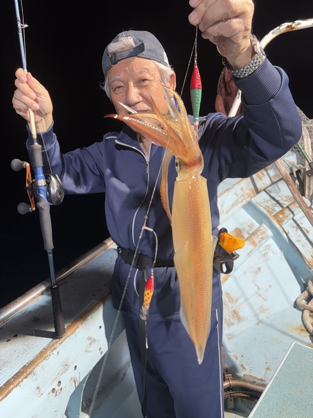 ヤリイカ