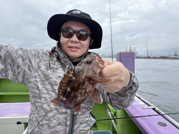 カサゴ