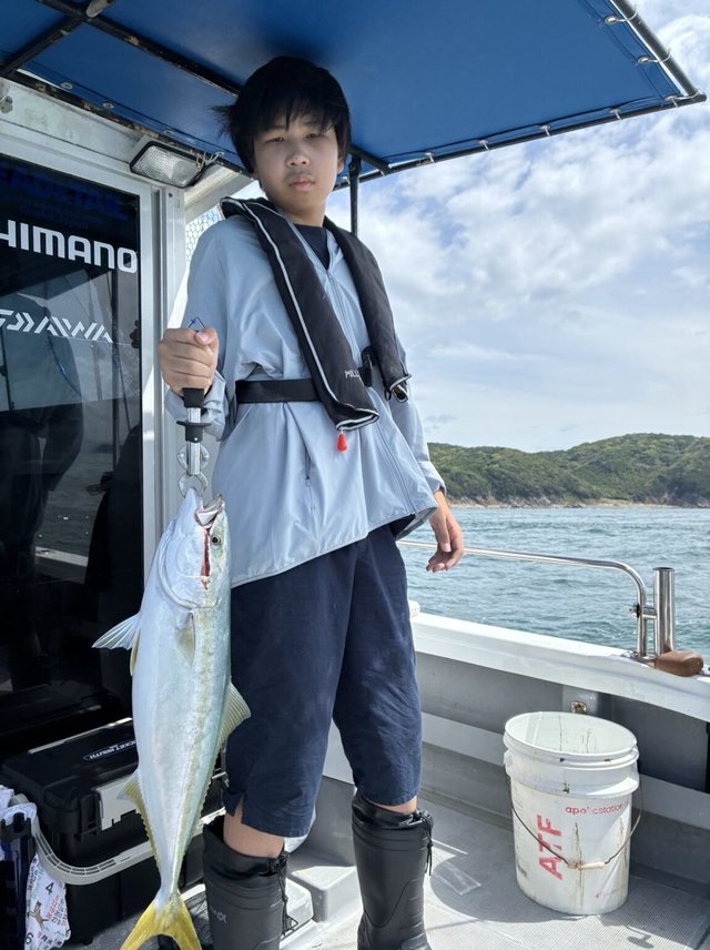 ハマチ(ブリ)