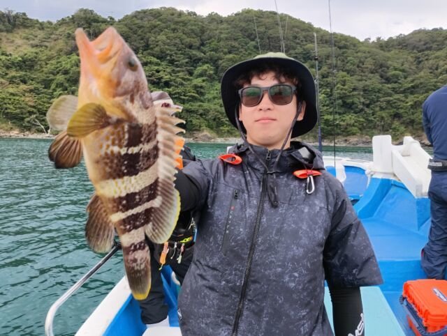 アオハタ