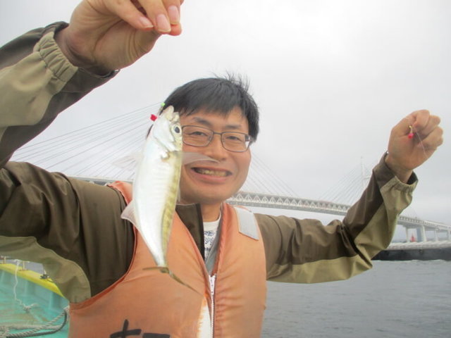 アジ(マアジ)