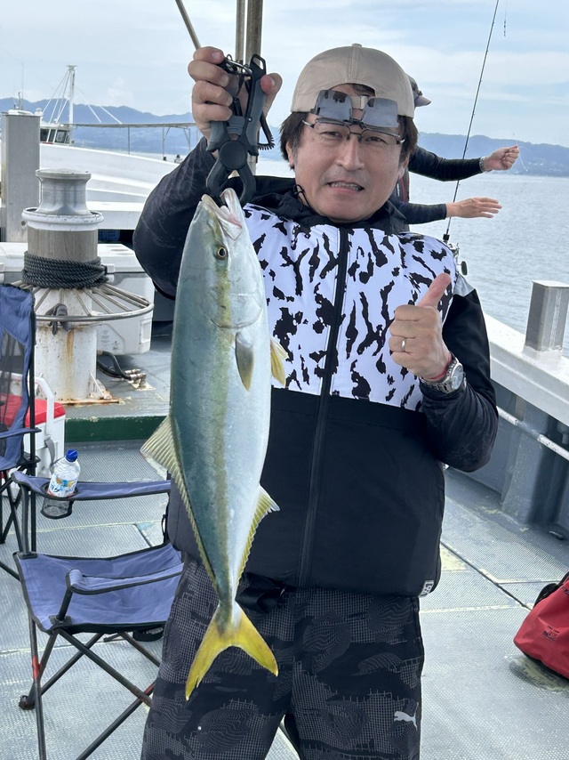 ハマチ(ブリ)