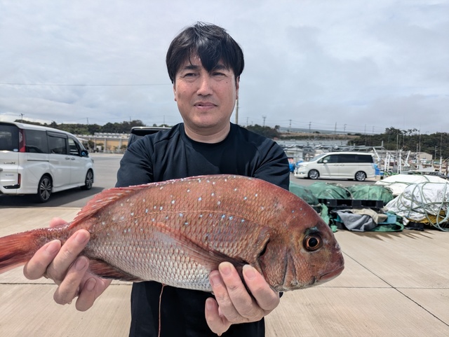 マダイ