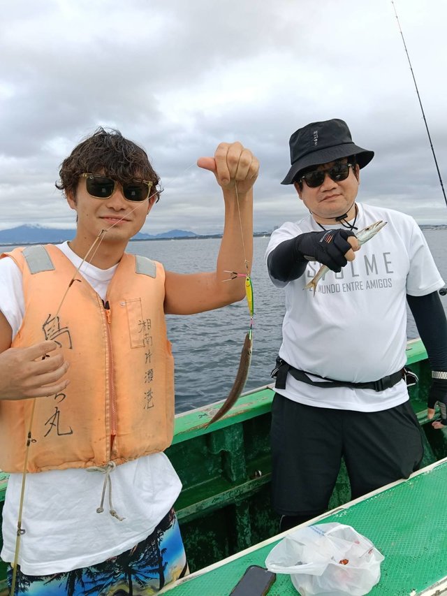 カマス(アカカマス)