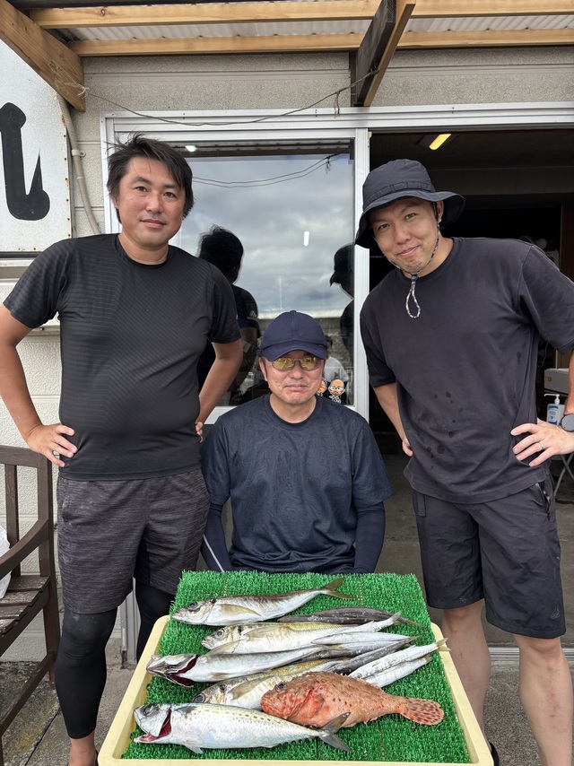 アジ(マアジ)・カマス(アカカマス)