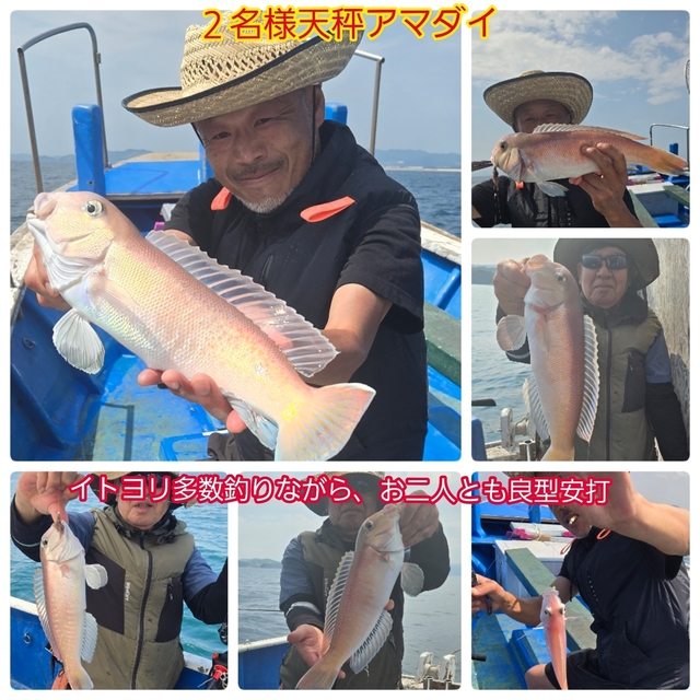 シロアマダイ