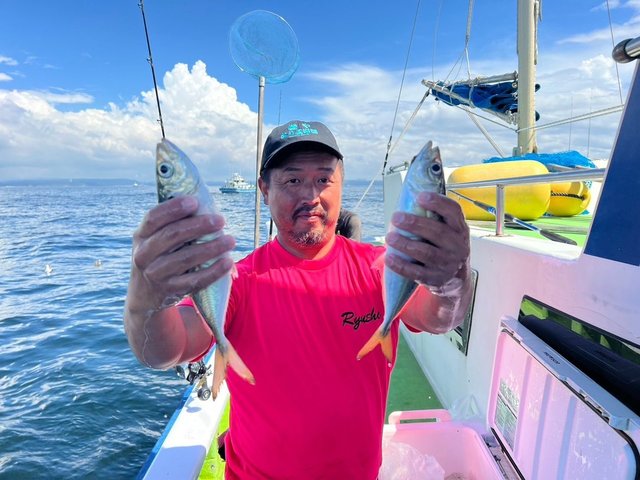 アジ(マアジ)