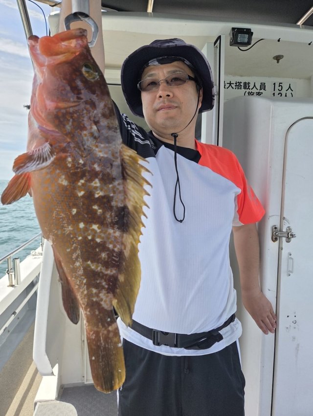 アコウ(キジハタ)