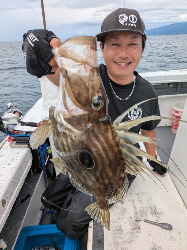 マトウダイ