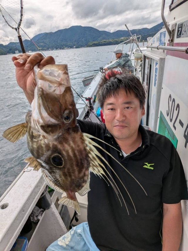 マトウダイ