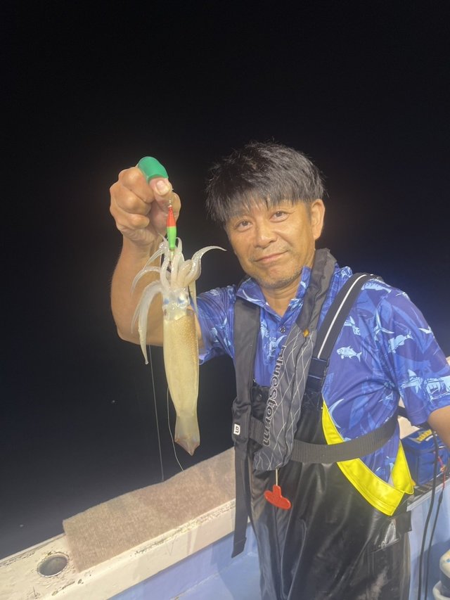 ムギイカ(スルメイカ)
