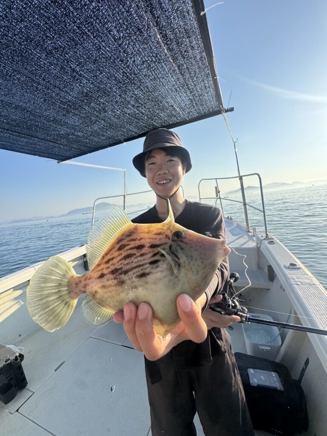 カワハギ