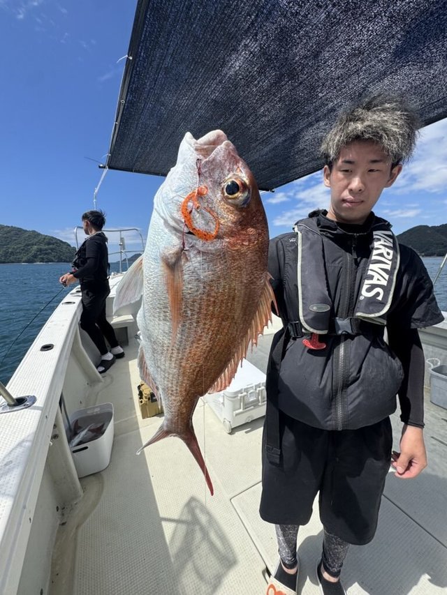 マダイ
