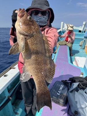オオモンハタ
