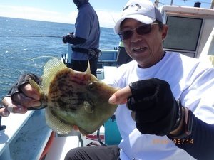 カワハギ