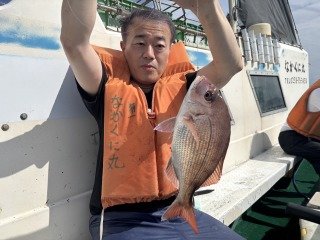 マダイ