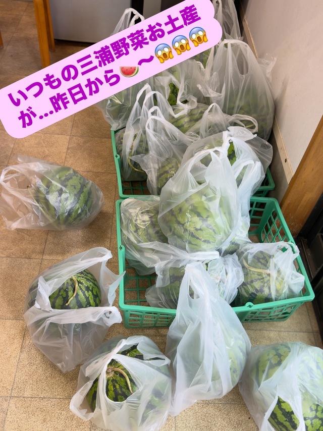 カワハギ