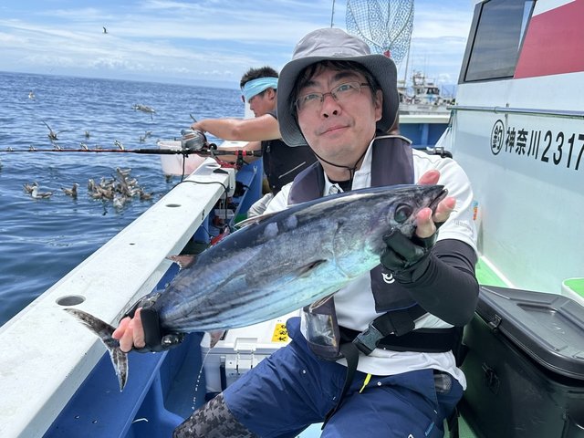カツオ