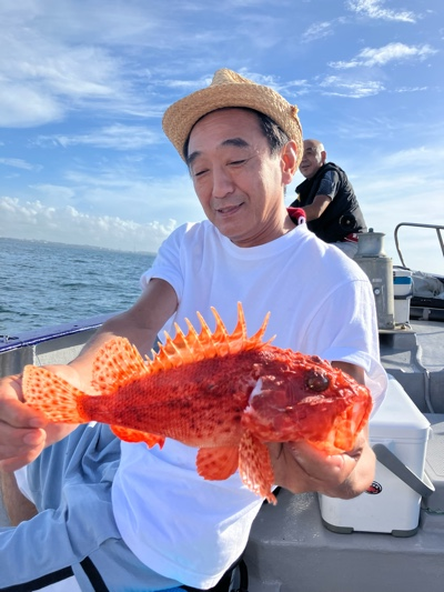 オニカサゴ