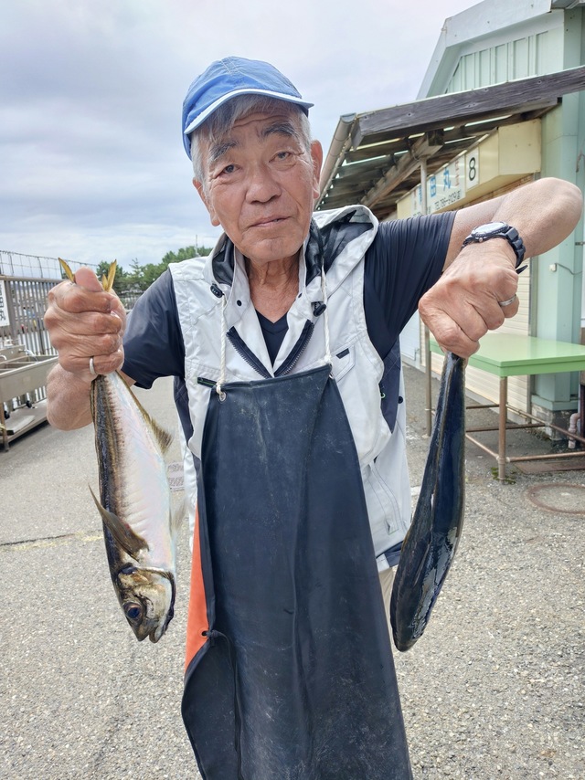 アジ(マアジ)