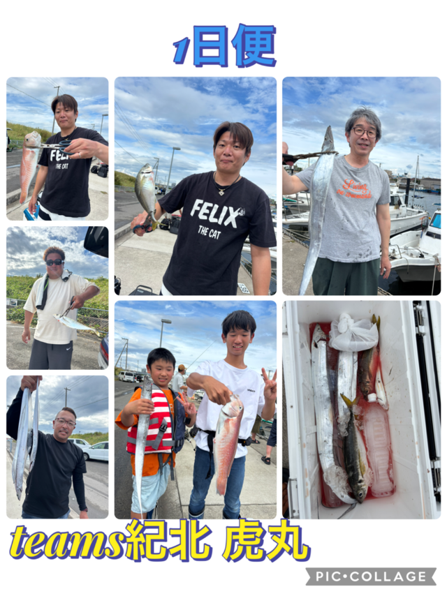アジ(マアジ)・シロアマダイ・タチウオ