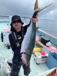 ワラサ(ブリ)