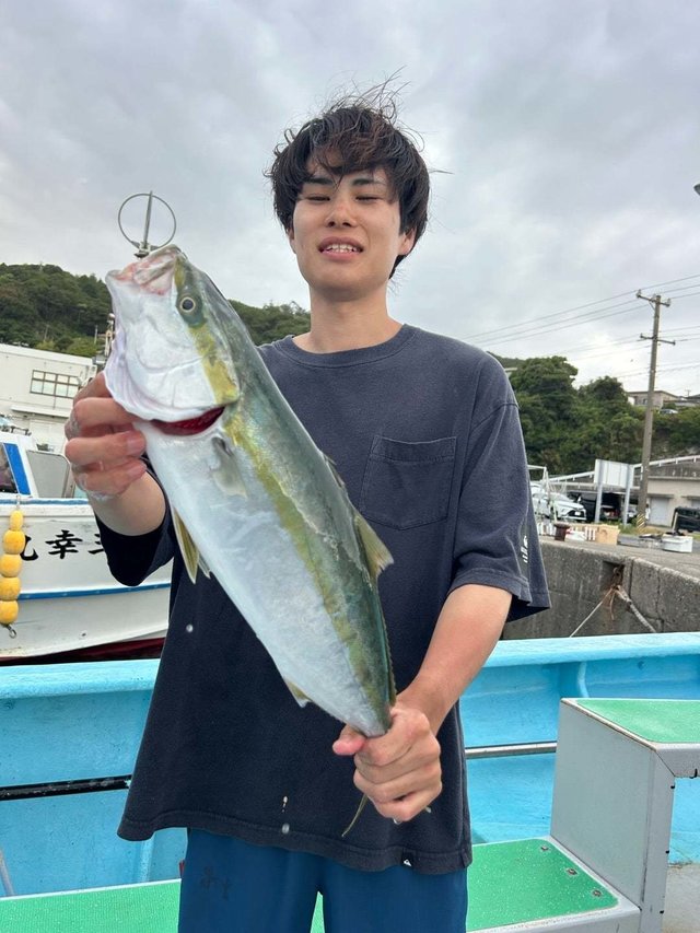 ハマチ(ブリ)