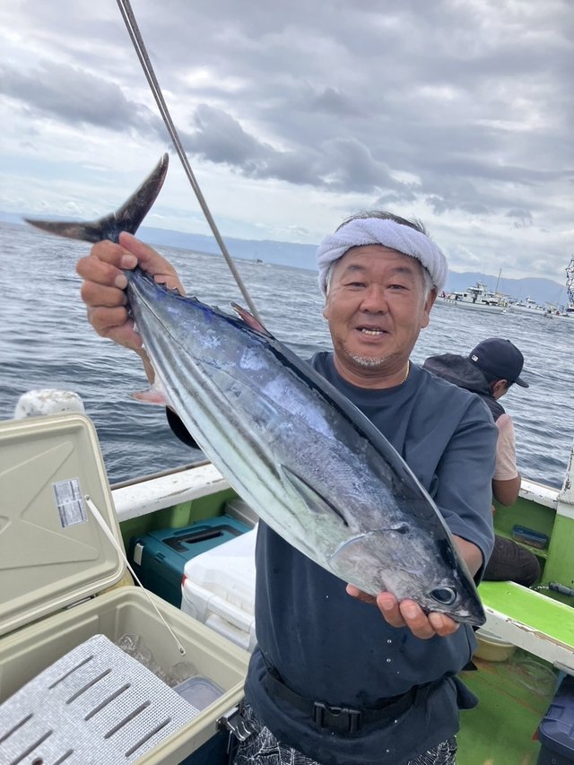 ホンガツオ(カツオ)