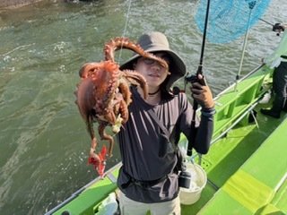 マダコ