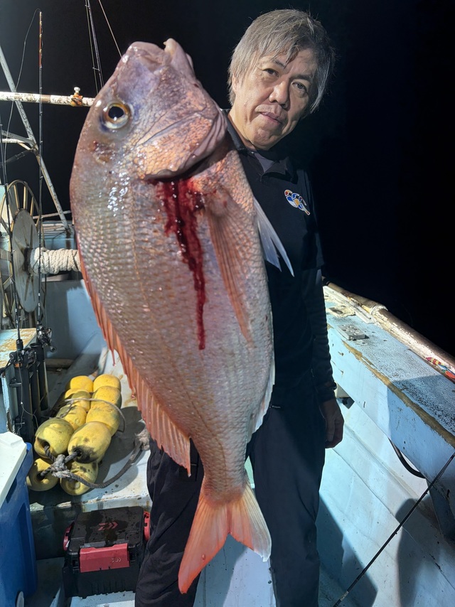 マダイ